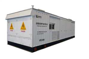 FRIEND 800kW Aardgas Genset